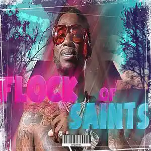 Picture for song 'Flock of Saints' by artist 'Sergy Beats'