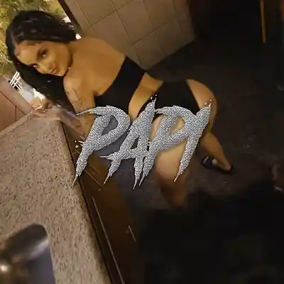 Picture for song 'PAPI - Brazil Funk Type Beat' by artist 'Silent The Producer'