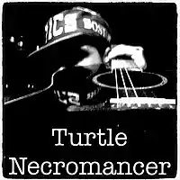 Picture for song 'ToNeDeF' by artist 'Turtle Necromancer'