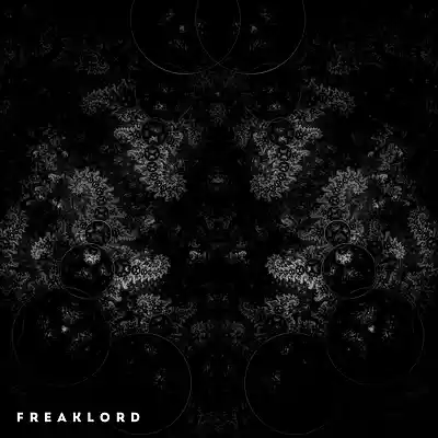 Picture for song 'Despair' by artist 'Freaklord'