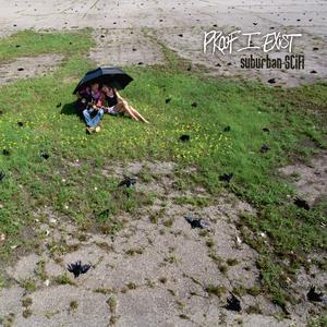 Picture for song 'Trespassing in Heaven' by artist 'Proof I Exist'