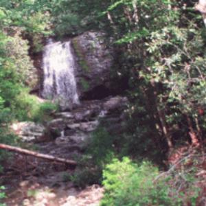 Picture for song 'sunshine day' by artist 'Sarah B Stites'