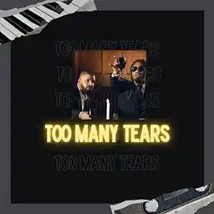 Picture for song 'Too Many Tears' by artist '9ELEVEN BEATS'