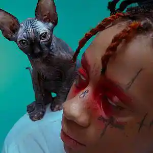 Picture for song 'Biggest Payday' by artist 'Brentin Davis Beats'