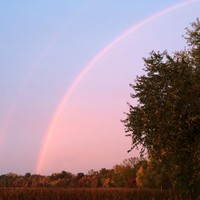 Picture for song 'Drive Baby Drive ' by artist 'D B Hankinster'