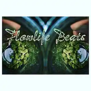Picture for song 'higher' by artist 'Flowlife Beats'