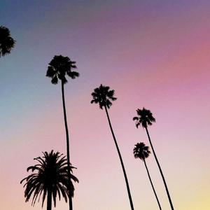 Picture for song 'Palm trees' by artist 'Greater Good'