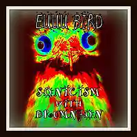 Picture for song 'EUUU BIRD - SONICISM and DRUMNJON 2015' by artist 'J3r3my'