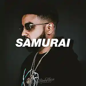 Picture for song 'Samurai' by artist 'JayUrbanMusic'