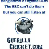 Picture for song 'Cricket Listening Blues' by artist 'Jeff Perkins'