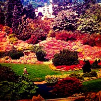 Picture for song 'The Journey of Life - PHASE 1' by artist 'JOHN DAVID THOMAS'