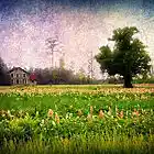 Picture for song 'Free Range' by artist 'KenTone'