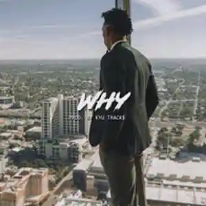 Picture for song 'WHY' by artist 'Kyu Tracks'