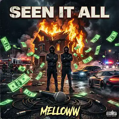 Picture for song 'Seen it all' by artist 'MellLoww'
