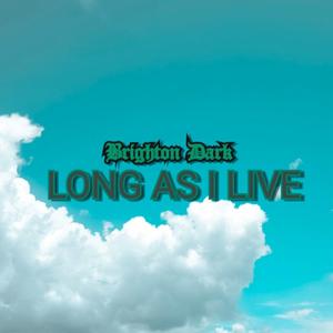 Picture for song 'Brighton Dark - Long As I live' by artist 'MICHY0'