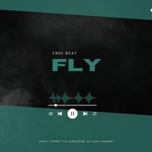 Picture for song 'Fly (Free Beat)' by artist 'Moltschun Music'