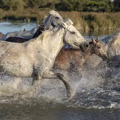 Picture for song 'On The Run - Atmo of Pursuit, Militant, Adventure' by artist 'Oleg Mazur'