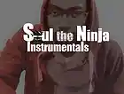 Picture for song 'bREAKERZ Instrumental (Prod. by Soul)' by artist 'SoulTheNinja'