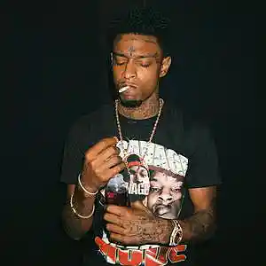 Picture for song '21 SAVAGE "CULLINAN"' by artist 'storm on da beat'