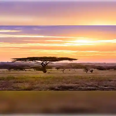 Picture for song 'Lucki x Future Type Beat "Safari"' by artist 'Trackmatic 850'