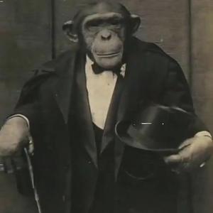 Picture for song 'Camorra - Hard Underground Type Beat' by artist 'VXAQ'