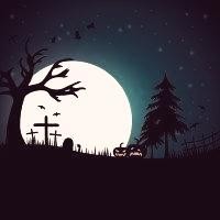 Picture for song 'Bangbang Haloween (Prod By Wizzi)' by artist 'YCM Beats'