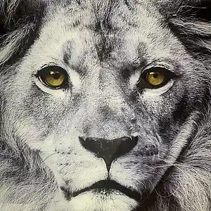 Picture for song 'Back - Alpha KOMEGA' by artist 'Alpha KOMEGA'