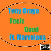 Picture for song 'Tony Drago ft. Marvelous- Feels Good ' by artist 'Alumni Society Label'