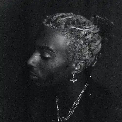 Artist picture