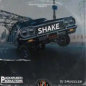 Picture for song 'Shake' by artist 'DJ Smuggler'