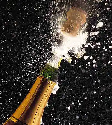 Picture for song 'DYT (ANTHEM!!!!)FREE DL!!!!' by artist 'EZ Money Beatz'