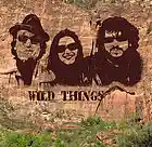 Picture for song 'Loco' by artist 'LOS SUFICIENTES'