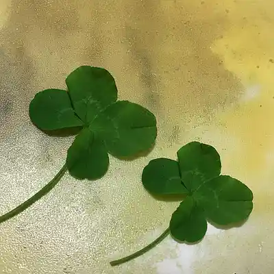 Picture for song 'Reverse Telemetry (Suno Cover)' by artist 'meglodave'