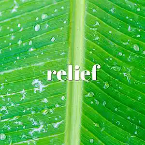 Picture for song 'Relief' by artist 'Netuno Soundtracks'