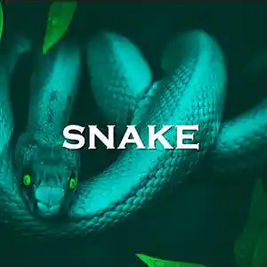 Picture for song 'Snake' by artist 'SadGlad Music'