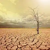 Picture for song 'IVE RUN DRY ' by artist 'tamsnumber4'