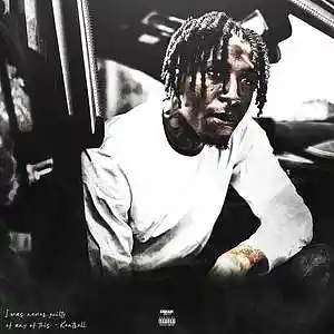 Picture for song 'Fredo Bang x NBA YoungBoy "Put Em Down" Type Beat' by artist 'X38times'