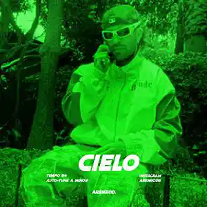 Picture for song 'CIELO (FEID TYPE BEAT)' by artist 'Arenrods'