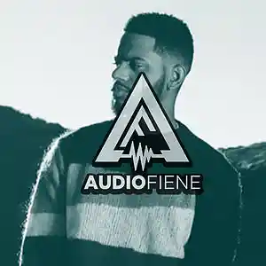 Picture for song 'Memories 2 (Bryson, Drake)' by artist 'Audio Fiene'