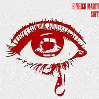 Picture for song 'Soft' by artist 'FlyHigh Marty'