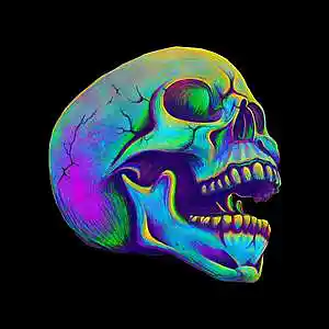 Picture for song 'Skull' by artist 'Rupin Beats'