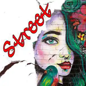 Picture for song 'Street * hiphop beat 95 bpm' by artist 'Skunky Prod Beatmaker'