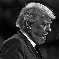 Picture for song 'Into The Oval Office' by artist 'Tom Bower'
