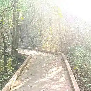 Picture for song 'The Road To Life' by artist 'Tom McGuire'