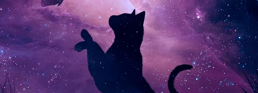 cover pic