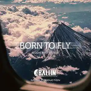 Picture for song 'Born to fly' by artist 'Rasulio Beats'