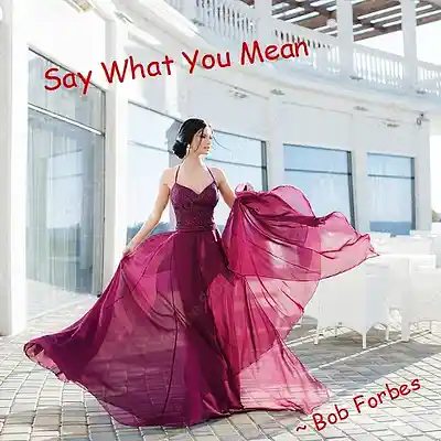 Picture for song 'Say What You Mean' by artist 'Bob Forbes'