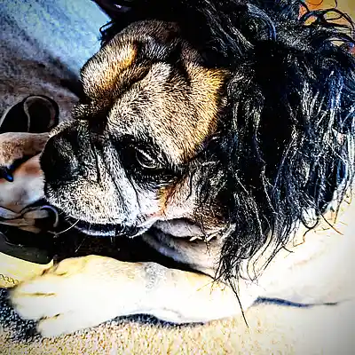 Picture for song 'MY DISS POSITION' by artist 'Err0r'