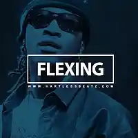 Picture for song 'Flexing (SOLD!)' by artist 'HartlessBeatz'