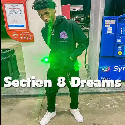 Picture for song 'Big Scarr x Pooh Shiesty x Big30 Type Beat - 536' by artist 'Hashtag6eatZ033'